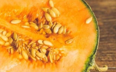 Manfaat Tersembunyi Dari Melon