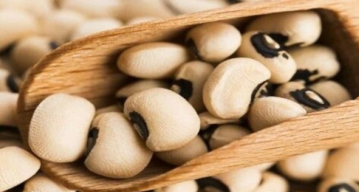 5 Manfaat Hebat Kacang Tolo