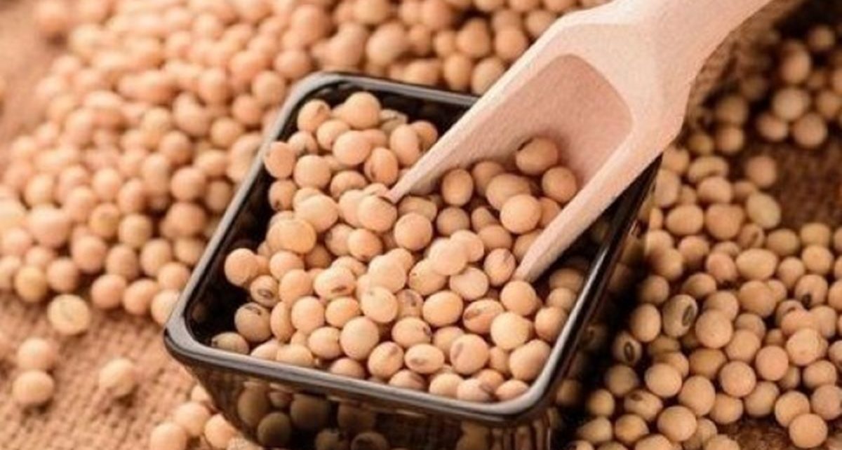 5 Manfaat Kacang Kedelai bagi Kesehatan