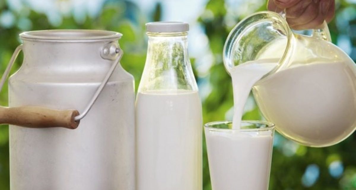 7 Dampak Minum Susu Secara Berlebihan