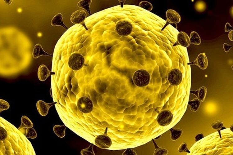 Pesan Positif yang Bisa Diambil Masyarakat dari Pandemi Virus Corona