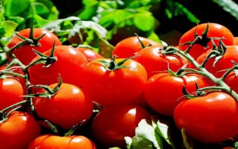 6 Manfaat Tomat untuk Kesehatan