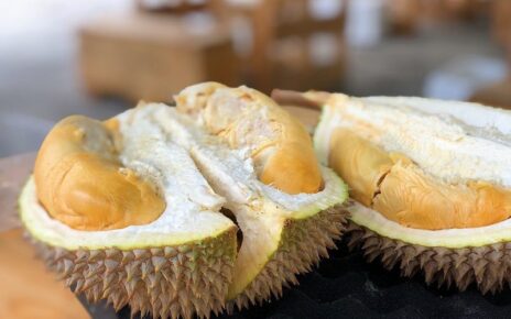 5 Manfaat Durian bagi Kesehatan