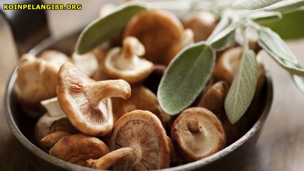 Manfaat Jamur Shitake untuk Kesehatan Tubuh