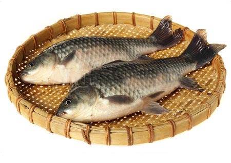 Manfaat Ikan Mas untuk Kesehatan Tubuh