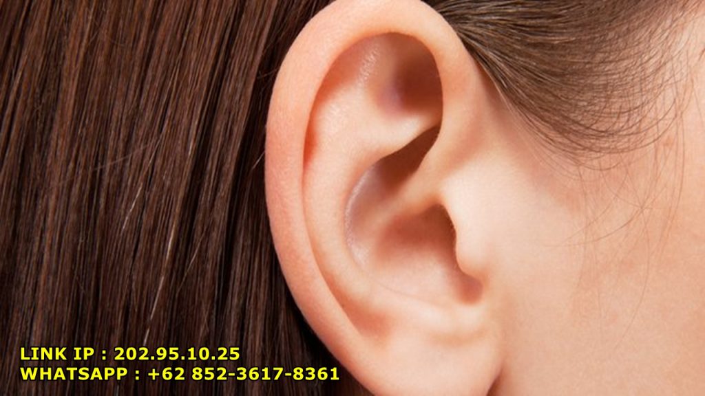 Hal yang Menyebabkan Munculnya Bau pada Telinga