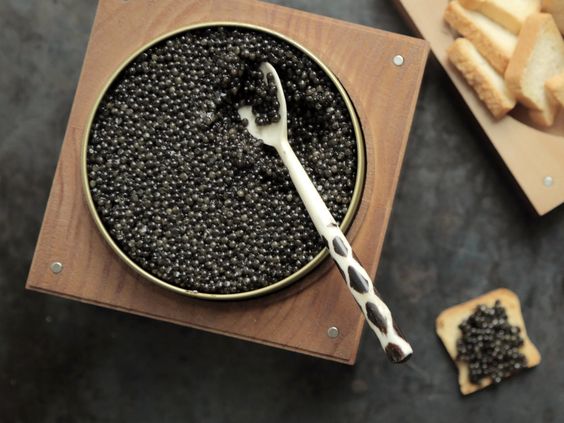 Manfaat Caviar yang Baik bagi Tubuh