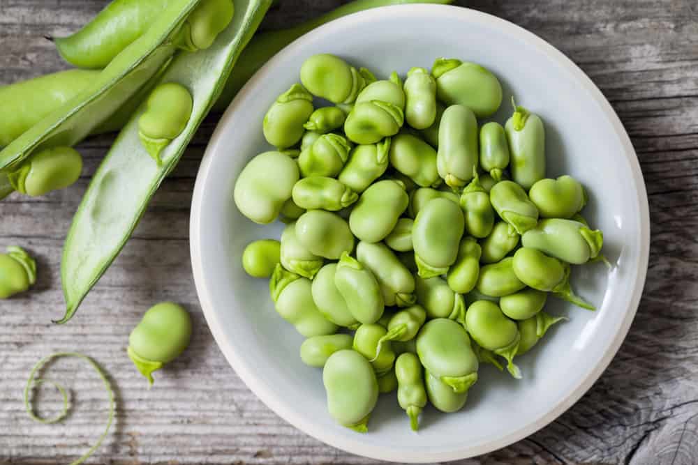 Manfaat Kacang Fava untuk Kesehatan Tubuh 
